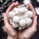 Mochi Health
