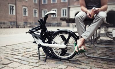 what does swd stand for in special education