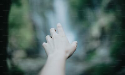 is behavioral health the same as mental health