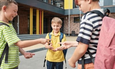 what is the purpose of the community safety education act