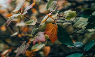 how do changing seasons affect human health