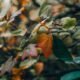 how do changing seasons affect human health