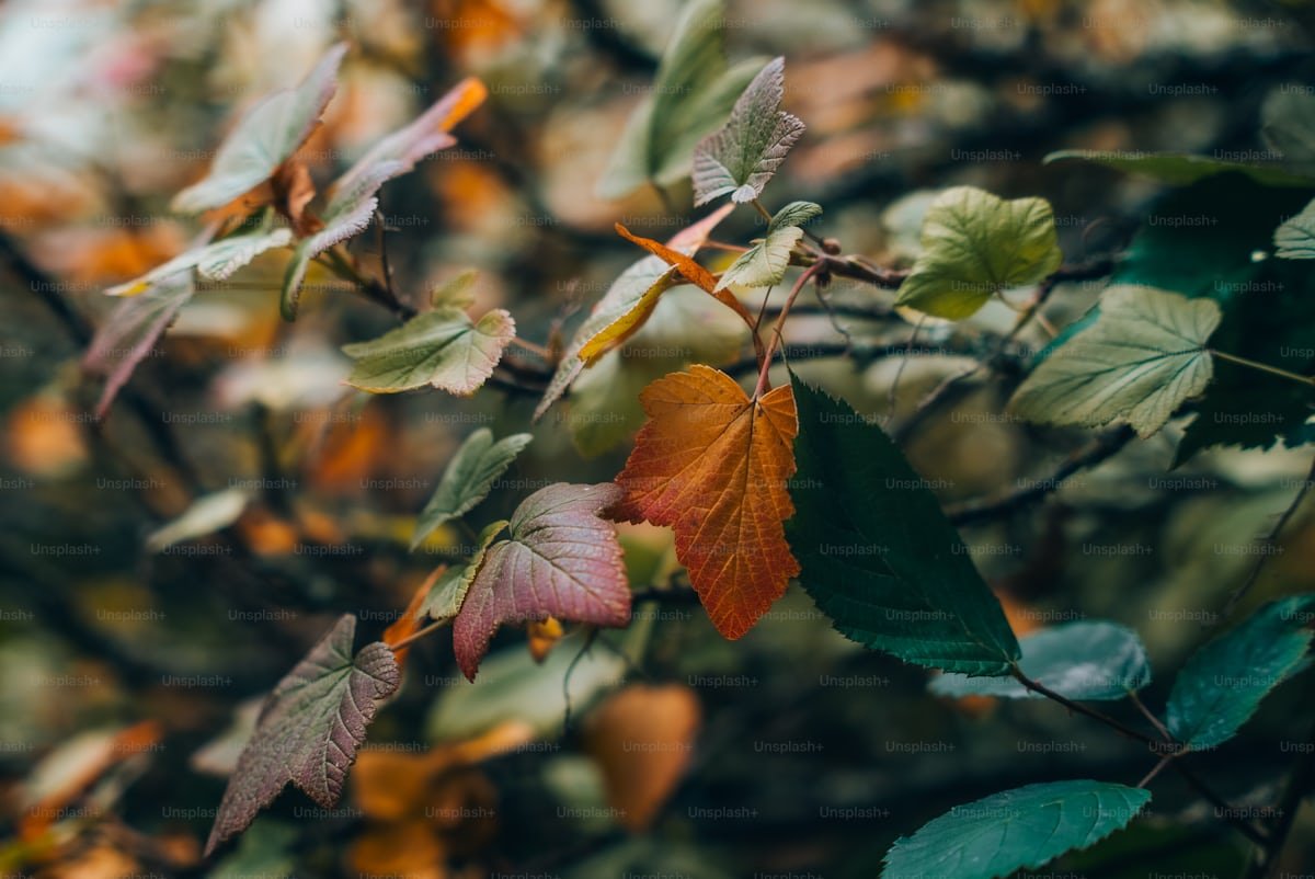 how do changing seasons affect human health